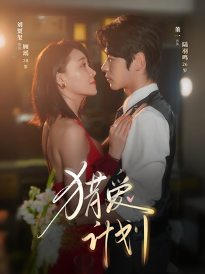 猎a计划（66集）热播短剧追不停