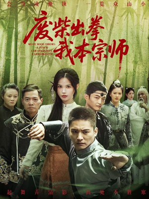 废柴出拳我本宗师（61集）直接追到结尾