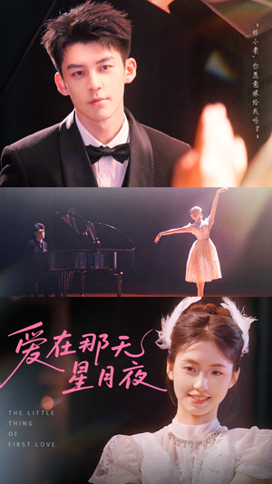 爱在那天星月夜（46集）短剧小说在线看