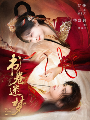 书卷迷梦（66集）观看软件