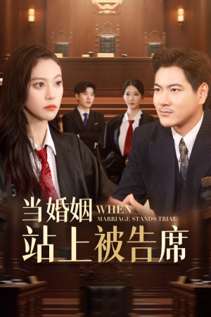 当婚姻站上被告席（30集）短剧推荐上热门
