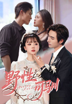 野性可驯（63集）短剧分享片段