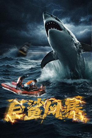 巨鲨风暴（59集）短剧热门合集