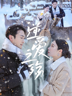 逆爱之殇(60集) 逆爱之殇(60集)在线看完整版