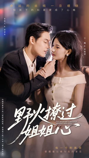 野火撩过姐姐心（97集）不用花钱看全剧