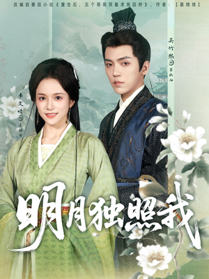 明月独照我（80集）甜宠短剧追到爽