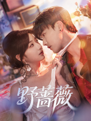 野蔷薇（60集）热播短剧免费看