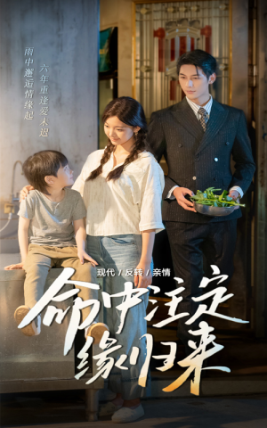 命中注定缘归来（63集）看短剧放松一下