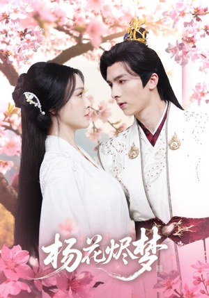 扬花烬梦（68集）精彩短剧天天看