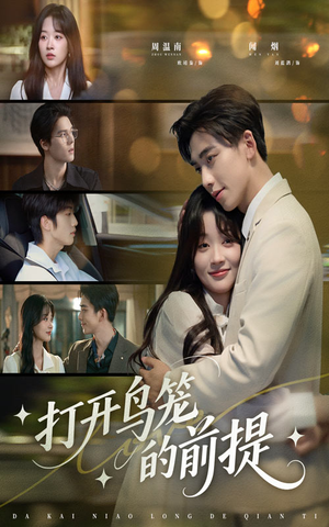 打开鸟笼的前提（43集）精彩短剧合集
