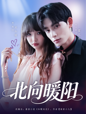 北向暖阳(80集) 北向暖阳(80集)超甜短剧分享