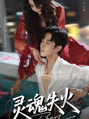 灵魂失火（72集）口碑之选免费看