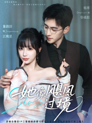 她像飓风过境（81集）短剧热播中