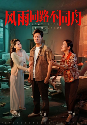 风雨同居不同舟（32集）最新上映免费看