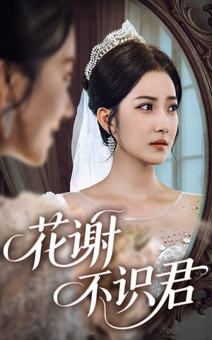 花谢不识君（40集）穿越短剧推荐