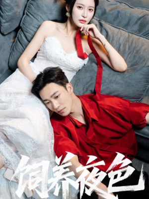 饲养夜色（86集）短剧精彩绝伦