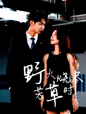 野火烧尽芳草时（65集）短剧完整版免费