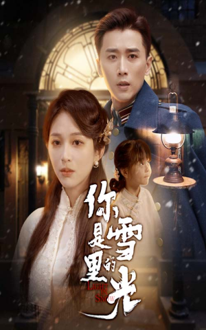 你是雪里的光（64集）最火短剧热播中