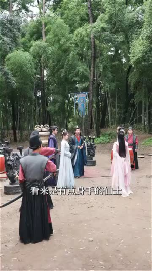 凤去台空江自流（41集）精彩短剧合集