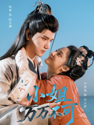 小姐万万不可（74集）观看软件