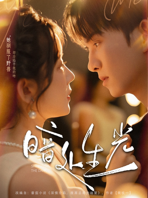 暗处生光（82集）甜宠短剧推荐