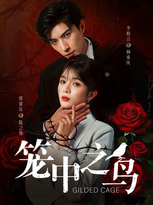 笼中之鸟（70集）最新短剧推荐