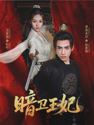 暗卫王妃（60集）短剧介绍