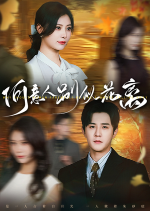 何意人别似花离（61集）最新火爆短剧