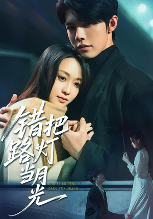 错把路灯当月光(40集) 错把路灯当月光(40集)好看上头的短剧