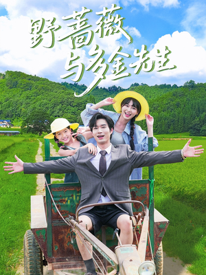 野蔷薇与多金先生（63集）短剧在哪里看