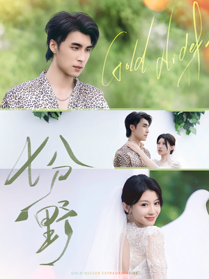 七分野(78集) 七分野(78集)热门短剧推荐