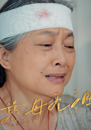 慈母无泪（30集）短剧