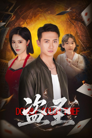 盗圣（63）更新时间