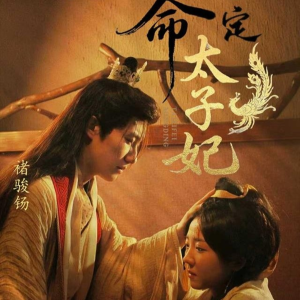 命定太子妃（63集）热门短剧推广