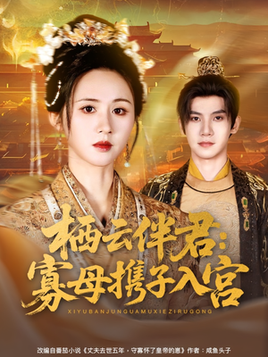 栖云伴君寡母携子入宫（89集）在哪个平台能看