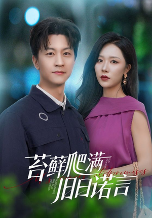 情途难负（83集）更新时间