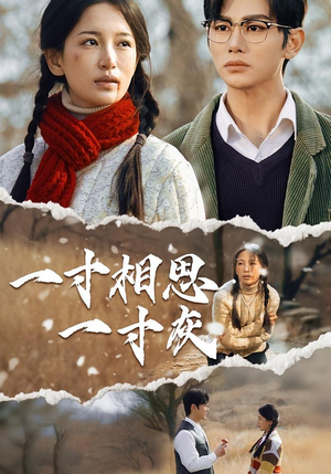 一寸相思一寸灰(43集) 一寸相思一寸灰(43集)短剧在线观看