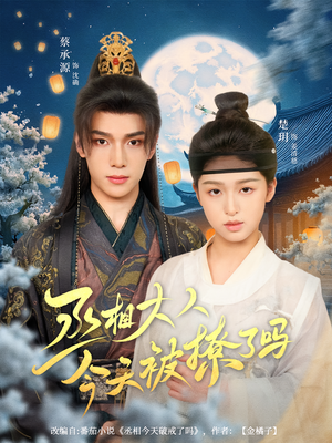 丞相大人今天被撩了吗（80集）超好看古装短剧