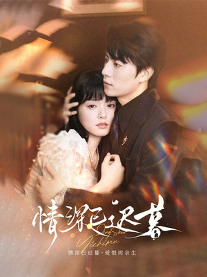 情深已迟暮（50集）红果免费短剧