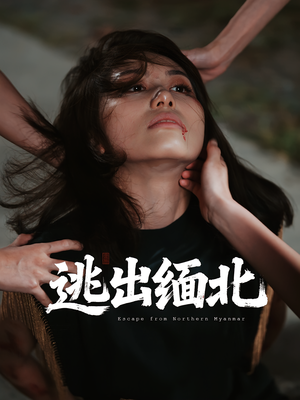 逃出缅北(62集) 逃出缅北(62集)第二季