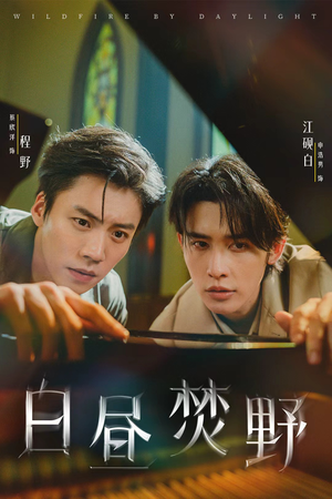 白昼焚野（70集）全剧免费观看