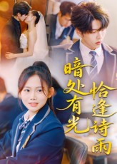 暗处有光恰逢诗雨(70集) 暗处有光恰逢诗雨(70集)360网盘观看