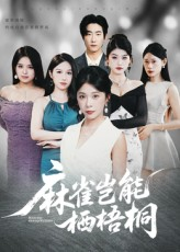 麻雀岂能栖梧桐（31集）海量短剧免费看