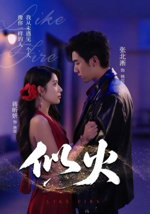 似火（80集）热门短剧推荐