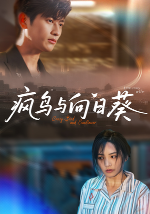 疯鸟与向日葵（40集）一口气追完短剧