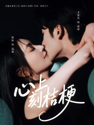 心上刻桔梗（90集）追短剧太上头了