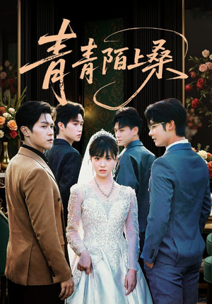 青青陌上桑（70集）最新上映的短剧