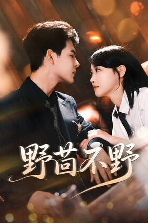 野茴不野(67集) 野茴不野(67集)一起看短剧