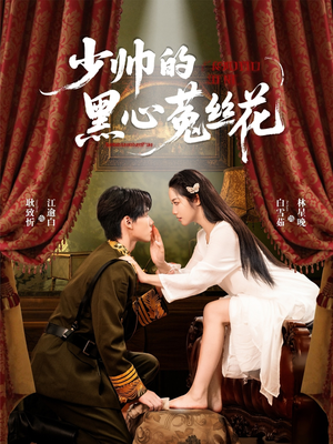 少帅的黑心菟丝花（60集）一口气追完全集