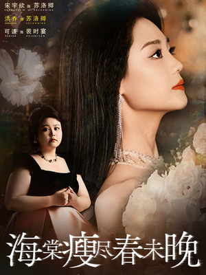 海棠瘦尽春未晚（62集）一起追短剧